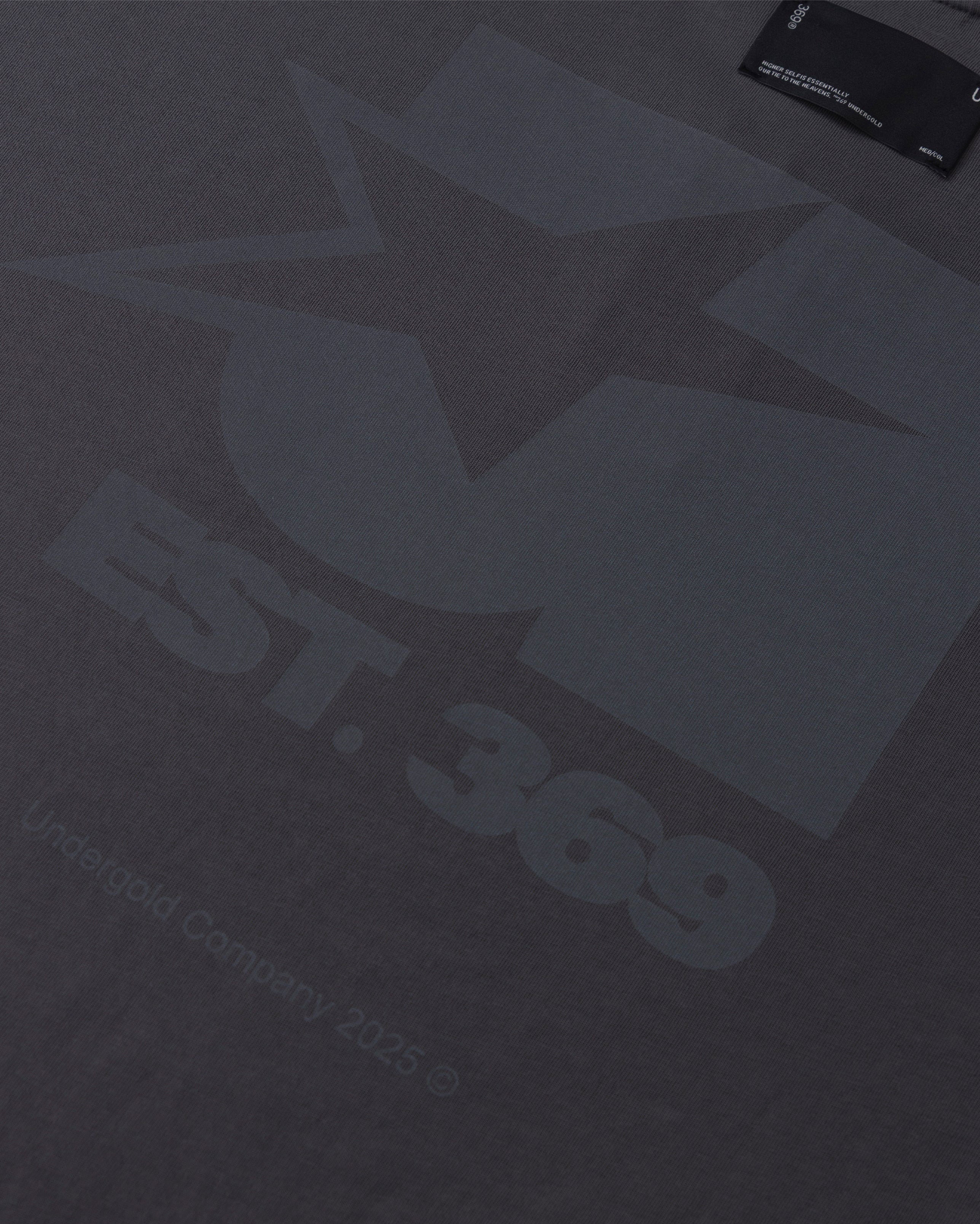 Stardust Symbol Tshirt Gray - Image 4